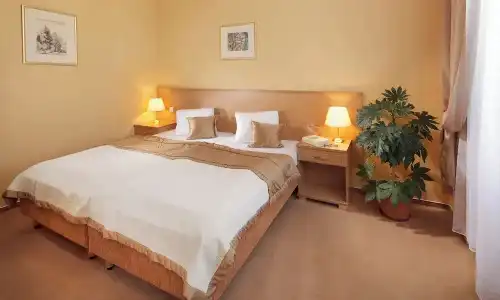 Spa Savoy - 65