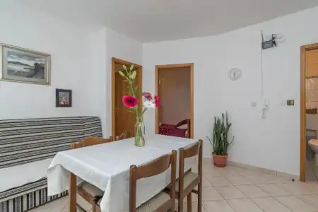 Apartments Vojin - 200