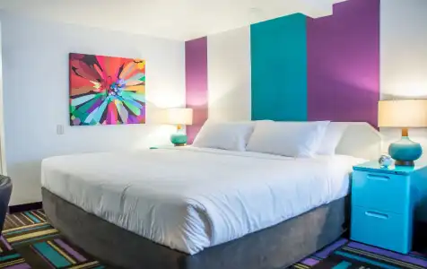 Zed Kelowna - 5