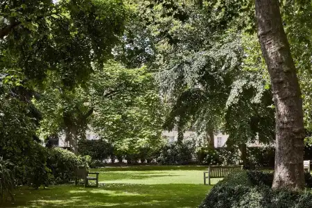 Dorset Square, Firmdales - 17