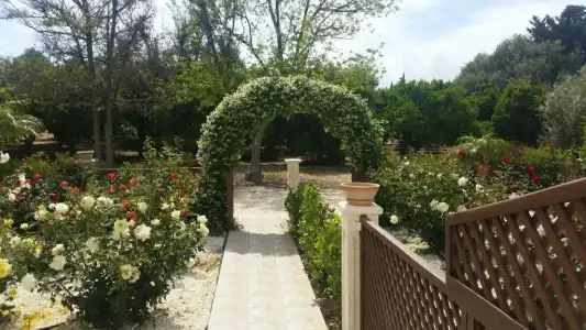 Eliofos Elegant Maisonettes - 56