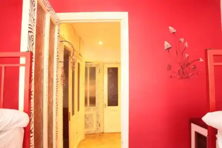 Zebra Hostel & Tours - 27