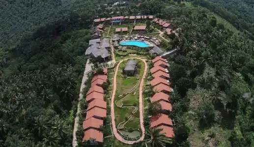 Daisy Resort - 36