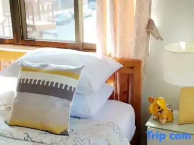Bed and Terrace Guesthouse - 81