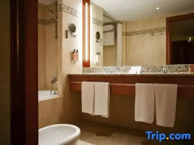 Hôtel Mercure - 102
