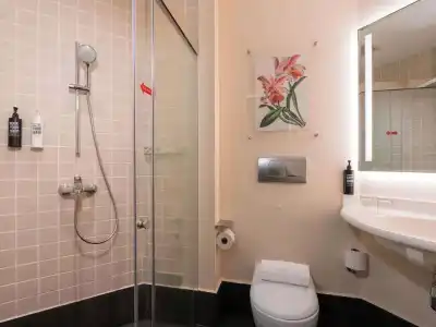 ibis Singapore On Bencoolen - 74