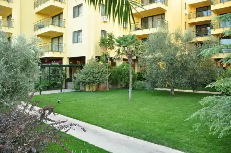 Palm Court Suites - 33