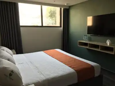 Conde Alameda - CDMX - 5
