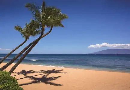 Marriott's Maui Ocean Club - Lahaina & Napili Towers - 21