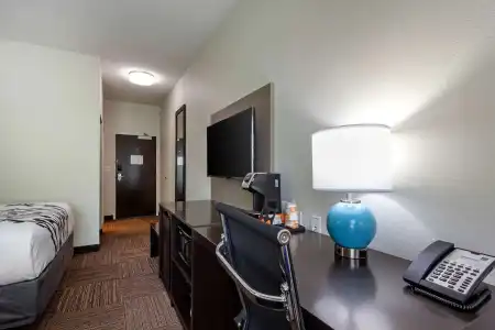 Sleep Inn & Suites Tampa South - 3