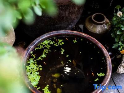 Yu Yue Mansion - 14