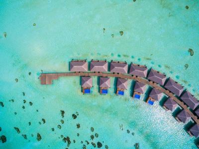 Cocoon Maldives - 19