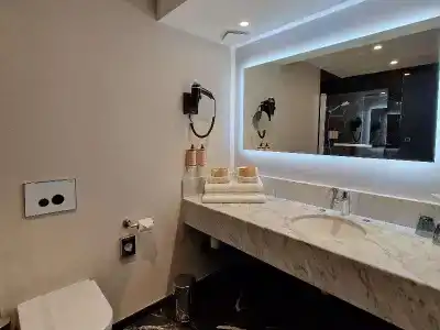 Mercure Orléans Centre - 97