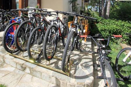 Agriturismo Terra dei Limoni - 19