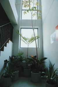 Marilyn Nha Trang - 7