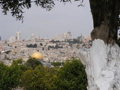 7 Arches Jerusalem - 19