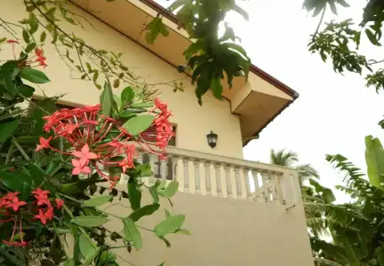 Mallika Guest House - 0