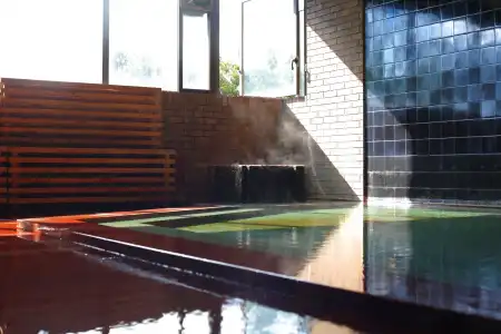 Fujiya Ryokan - 17
