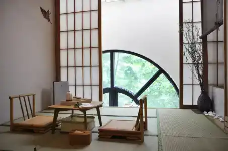 Livo - 3