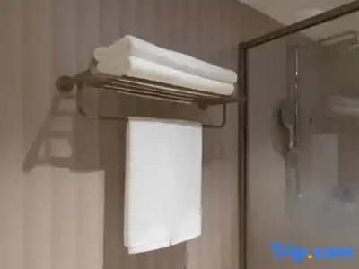 Hanting Ho Chi Minh City Downtown (汉庭国际胡志明市中心酒店) - 118