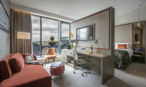 Clayton Ballsbridge - 6