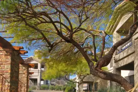 WorldMark Phoenix - South Mountain Preserve - 4
