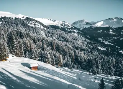 Altein Arosa, a Faern Collection Resort - 40