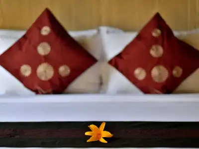Gino Feruci Villa Ubud - 2