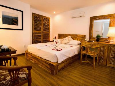 Rex and Apartment - 4