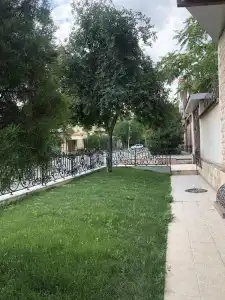 Tamerlan - 16