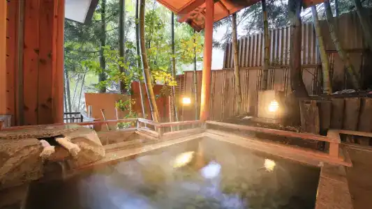 Ryokan Tanigawa - 18