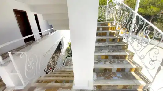 Tropicana - 12