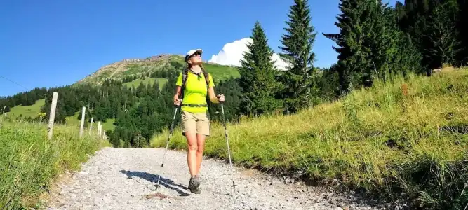 Alpenkönig - 30