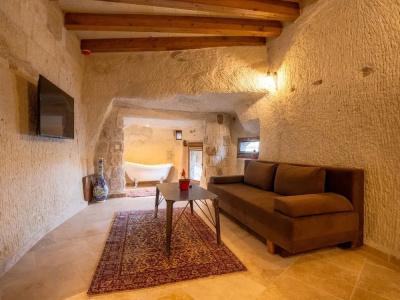 Tulip Cave Suites - 149