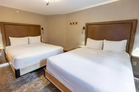Moose And Suites - 170