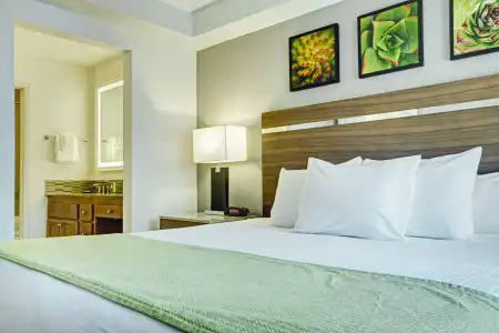 Desert Rose Resort - 6
