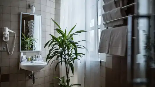 Park-Golosievo - 28