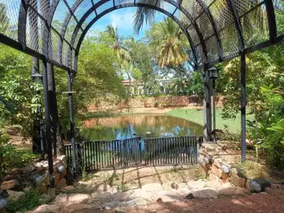 Lucky Beach Resort - 23
