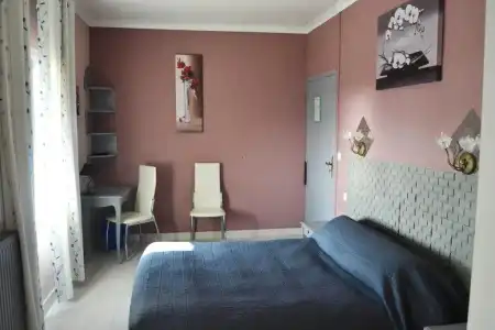 Hôtel Le Dauphin Bleu - 48