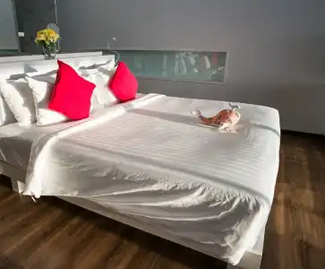 The Houben, Adult Only - 235