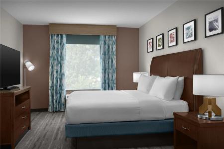 Hilton Garden Inn Greensboro Airport - 105