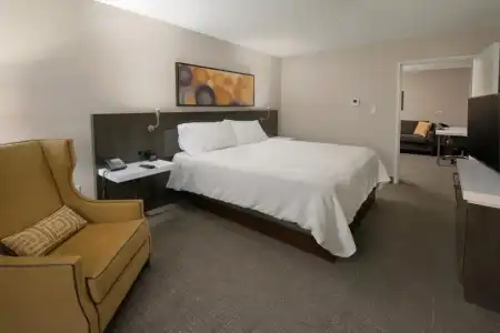 Hilton Garden Inn Las Colinas - 82