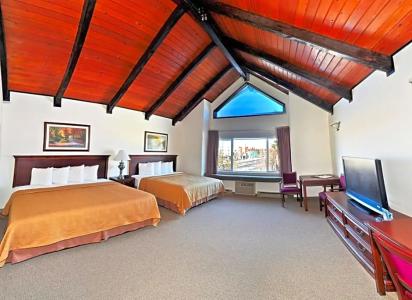 Alex and Suites - 65