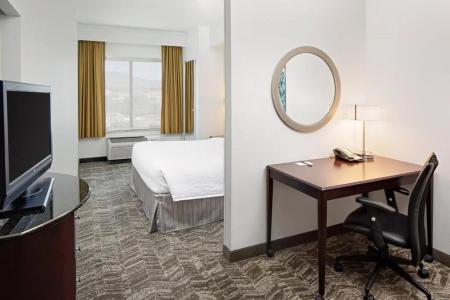 SpringHill Suites El Paso - 34