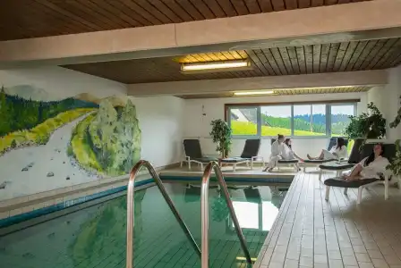 ThälerHäusle Mit Schwimmbad - 6