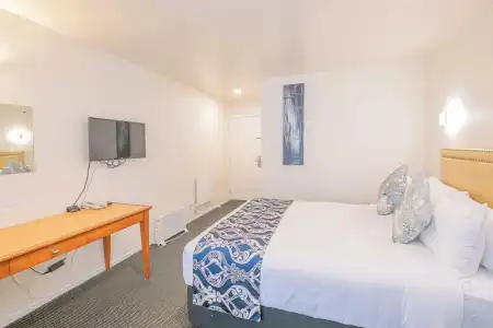 Auckland Newmarket Motel - 26