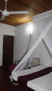 The Best Hostel - 21