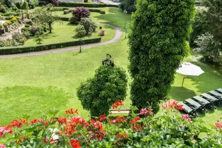 Garden Reinhart - 13