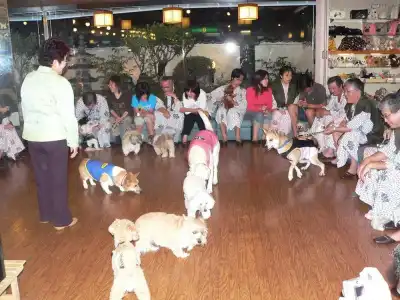Kinugawa Kokusai - 23