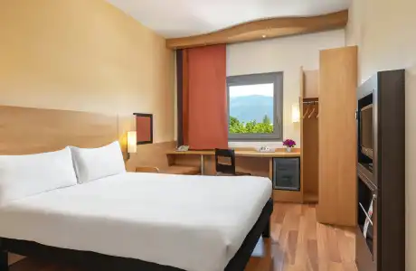ibis Bursa - 26